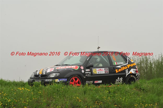 DSC_1206.JPG